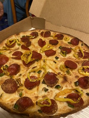 Pizza Cat by null