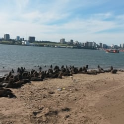 Reserva Faunística de Lobos Marinos