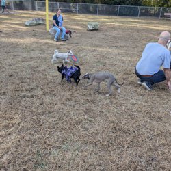 Dorothea Dix Dog Park