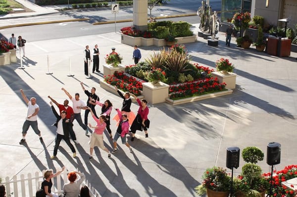 The Shops At The Bravern by null