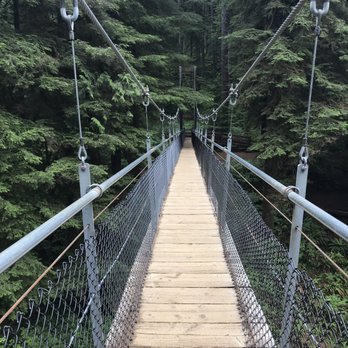 Drift Creek Fall And Bridge - Hiking Near Me - Otis, Oregon