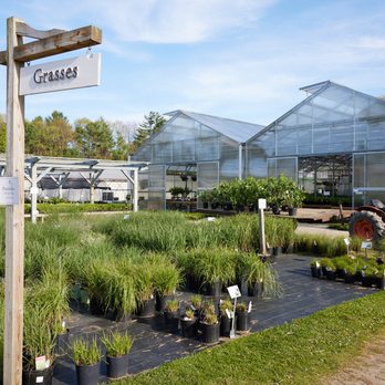 O'Donal's Nursery - Nurseries & Gardening Near Me - Gorham, Maine