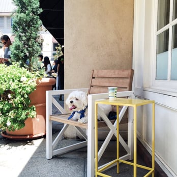 Philz Coffee - My pup straight up chillin' while we wait in line. - Coffee & Tea Near Me - Pasadena, California Philz Coffee - My pup straight up chillin' while we wait in line. - Coffee & Tea Near Me - Pasadena, California