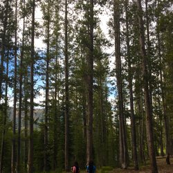 Bull Trout Lake Campground