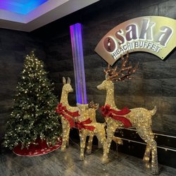 Osaka Hibachi Buffet