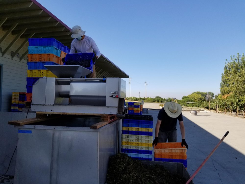 TANJULI WINERY Updated September 2024 31 Photos & 23 Reviews 209