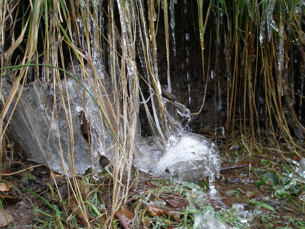 Wildenburg - "Wasserfall" am Wegesrand, aus dem Hang heraus - Education Near Me - Hellenthal, NW Wildenburg - "Wasserfall" am Wegesrand, aus dem Hang heraus - Education Near Me - Hellenthal, NW