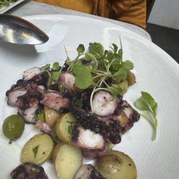 Massimo's - Absolutely loved the octopus. - Italian Near Me - Long Beach, California