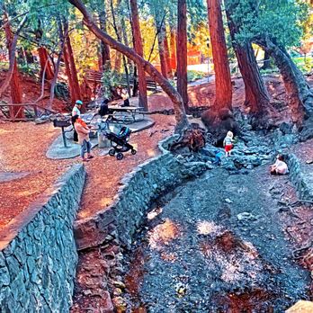 Live Oak Park - Live Oak Park - The image shows a wooded area at Live Oak Park in Berkeley, CA, with tall trees and a small creek running through it. Several children and adults are present, with some children playing near the creek and others sitting on benches or standing nearby. The scene includes a stone wall along the creek, a stroller, and a few bicycles, indicating a family-friendly outdoor space. - Parks Near Me - Berkeley, California