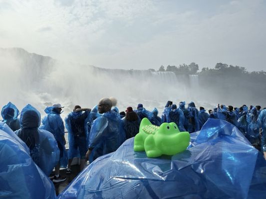 Maid of the Mist by null