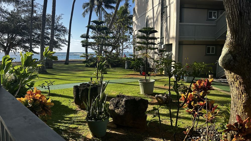 Hotel Coral Reef