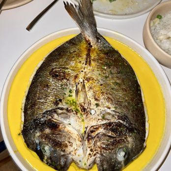 Maty's - DORADE - Peruvian Near Me - Miami, Florida