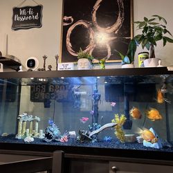 Yoga Bar & Cafe - Our cafe fish