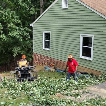 Mitchell Tree & Stump Service - Tree Services Near Me - Fredericksburg, Virginia Mitchell Tree & Stump Service - Tree Services Near Me - Fredericksburg, Virginia