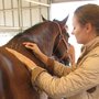 Photo of Balanced Horse Veterinary Service