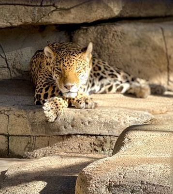 Wildlife World Zoo, Aquarium & Safari Park by null