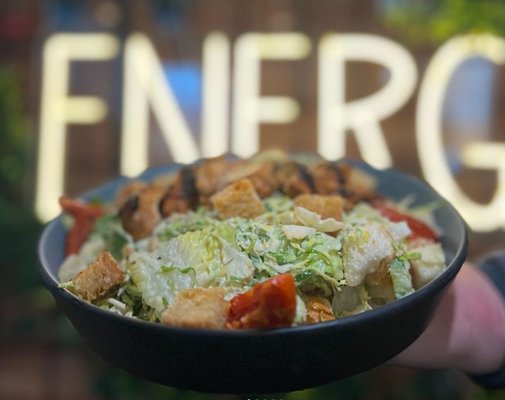 The Boozy Mutt by null