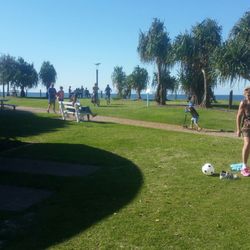 Bluey Piva Park