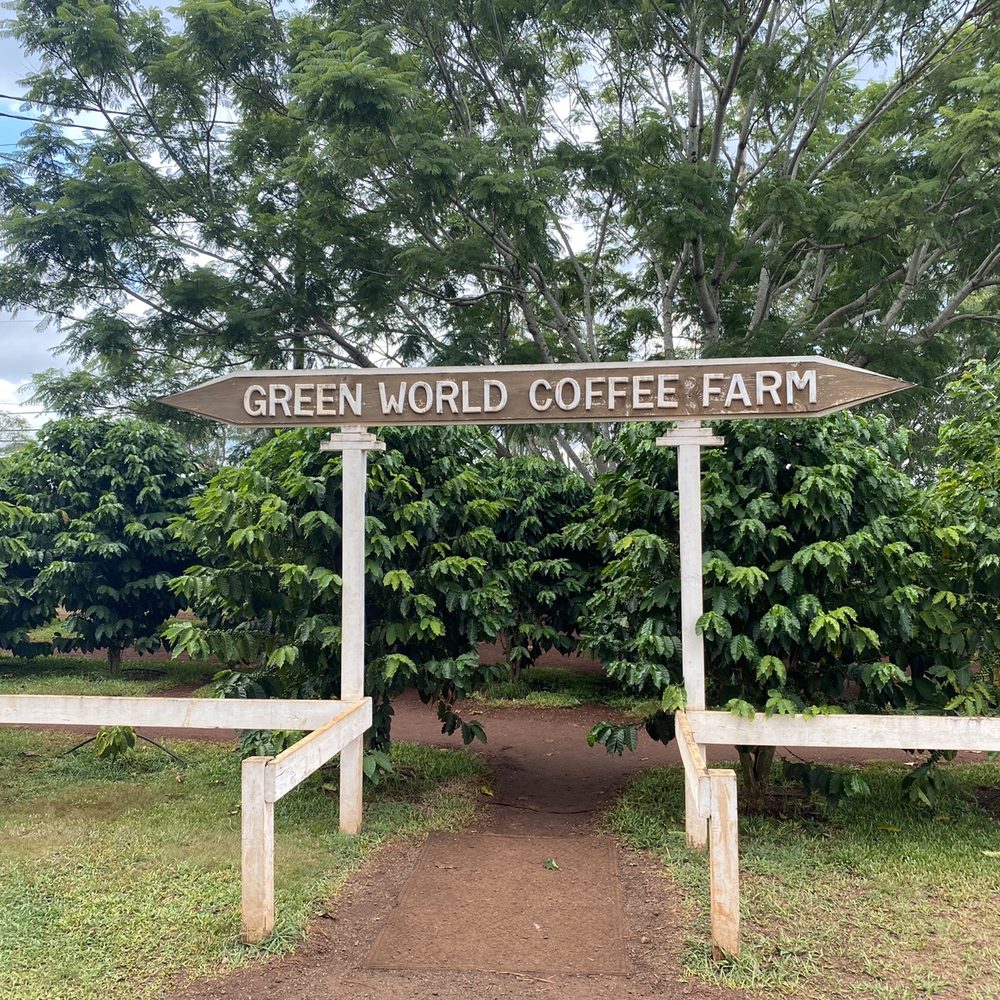 Island and You - Bus Tours Near Me - Honolulu, Hawaii Island and You - Bus Tours Near Me - Honolulu, Hawaii