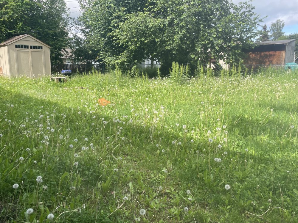 Slide of Pure Pressure