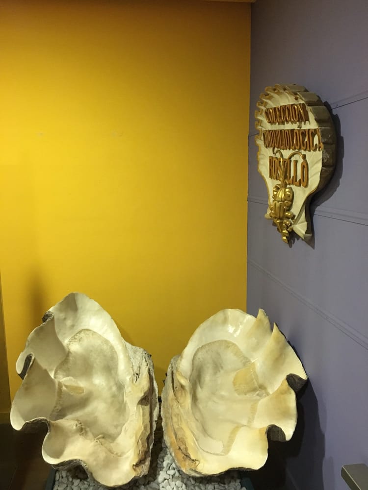 Museo de las Ciencias Naturales