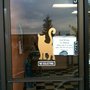 Photo of Feral Cat Spay/ Neuter Project