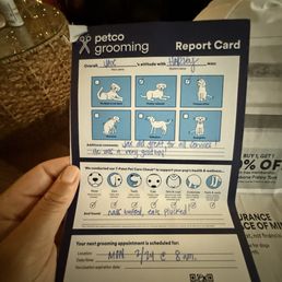 Petco Dog Grooming Cost: Affordable Care for Your Pet