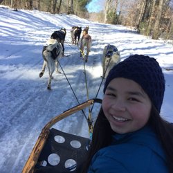 Drift Away Mushing Adventures - Kids loved it!