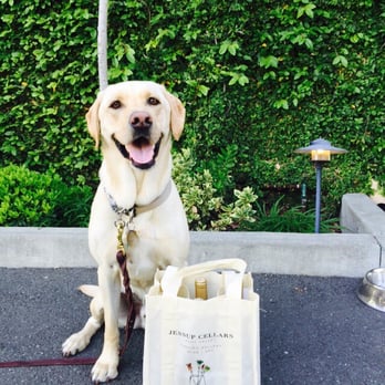 Jessup Cellars - Jessup is dog friendly!!! Bentley really likes Jessup wine too! - Wine Tasting Room Near Me - Yountville, California Jessup Cellars - Jessup is dog friendly!!! Bentley really likes Jessup wine too! - Wine Tasting Room Near Me - Yountville, California