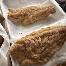 Catfish