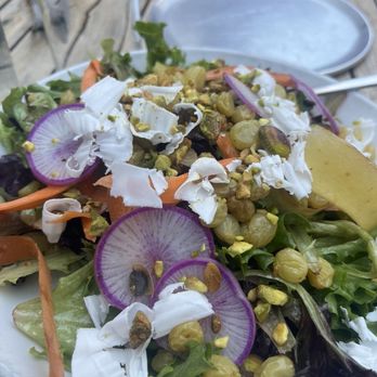 Donna Jean - Really Good Salad - Pizza Near Me - San Diego, California Donna Jean - Really Good Salad - Pizza Near Me - San Diego, California