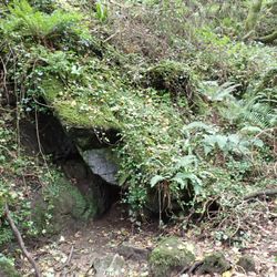 Doolin Cave - Original Entrance