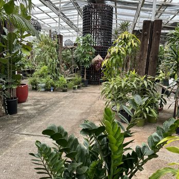 La Crescenta Nursery - indoor plants area - Nurseries & Gardening Near Me - Glendale, California