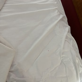 Best Western Braddock Inn - Blood on the sheets - Hotels Near Me - Lavale, Maryland Best Western Braddock Inn - Blood on the sheets - Hotels Near Me - Lavale, Maryland