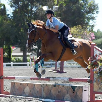 CM Stables - Horseback Riding Near Me - Los Angeles, California