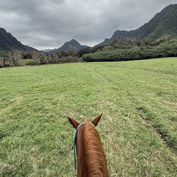 Kualoa Ranch - Tours Near Me - Kaneohe, Hawaii Kualoa Ranch - Tours Near Me - Kaneohe, Hawaii