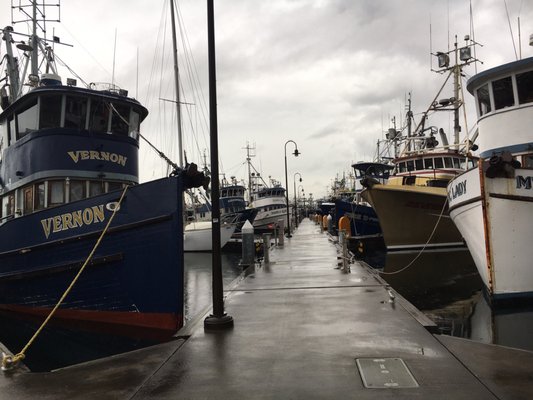 Fishermen's Terminal by null
