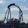 Seaworld of Florida gift card