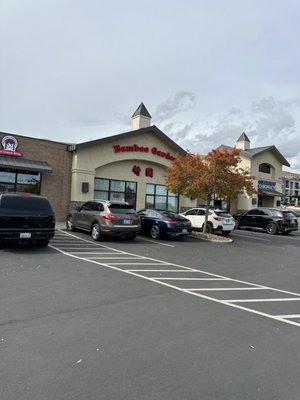 Bamboo Garden by null