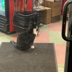 Photo of Quality Mart - Boston, MA, United States. Leo still there as we left