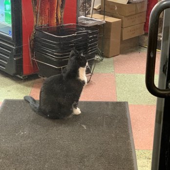 Quality Mart - Leo still there as we left - Grocery Near Me - Boston, Massachusetts