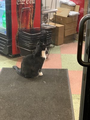 Photo of Quality Mart - Boston, MA, US. Leo still there as we left