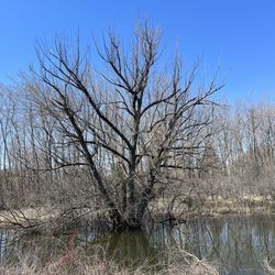 Drayton Plains Nature Center