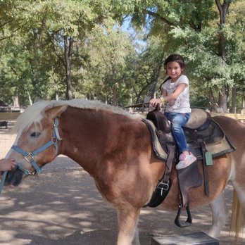 Sweet Eats Adventure Farm - Ginger and bear! - Attraction Farms Near Me - Georgetown, Texas Sweet Eats Adventure Farm - Ginger and bear! - Attraction Farms Near Me - Georgetown, Texas
