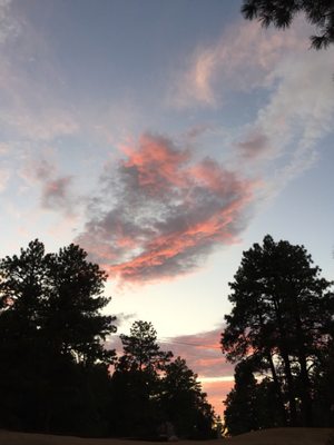 Hualapai Mountain Park Campground by null