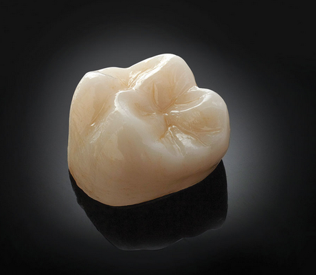 Evolution Dental Science