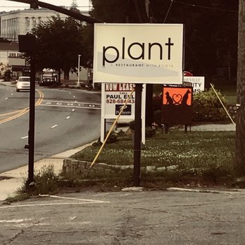 Plant - Vegan Near Me - Asheville, North Carolina Plant - Vegan Near Me - Asheville, North Carolina