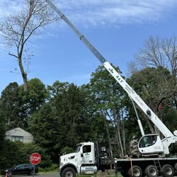 A & Y Landscaping & Tree Services