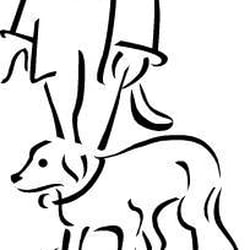 Sierra Stroll Pet Care