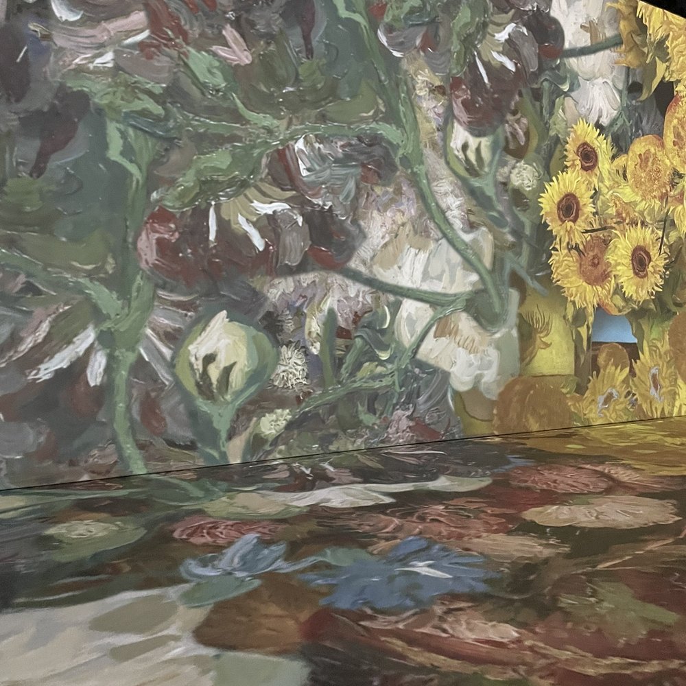 Beyond Van Gogh - Art Museums Near Me - Del Mar, California Beyond Van Gogh - Art Museums Near Me - Del Mar, California